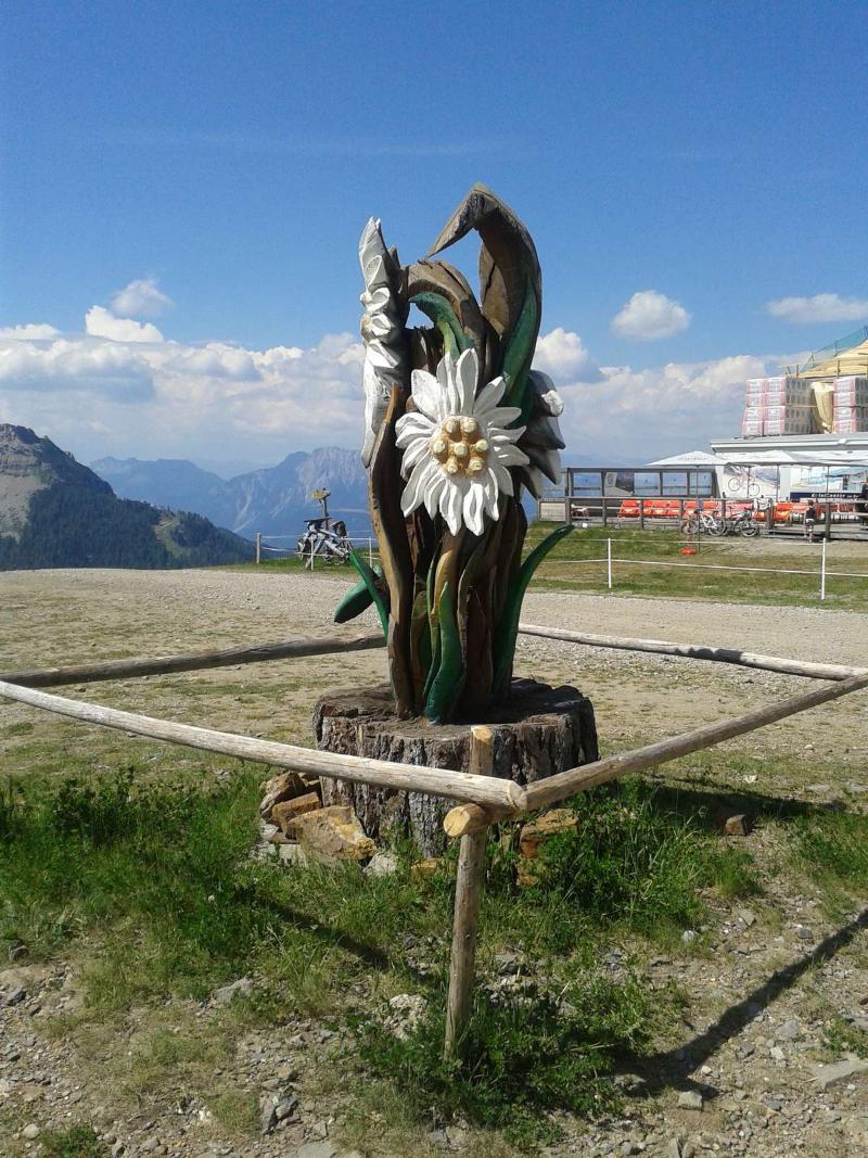 Alpenhaeuser Marcius Sonnenalpe Nassfeld Exteriér fotografie